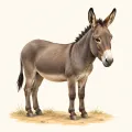 Dameer (Donkey) illustration from the Luuqad app
