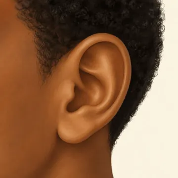 Dhag (Ear): illustration from the Luuqad Face & Body lesson