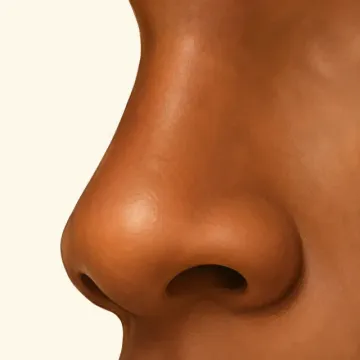 San (Nose): illustration from the Luuqad Face & Body lesson