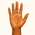 Gacan (Hand) illustration from the Luuqad app